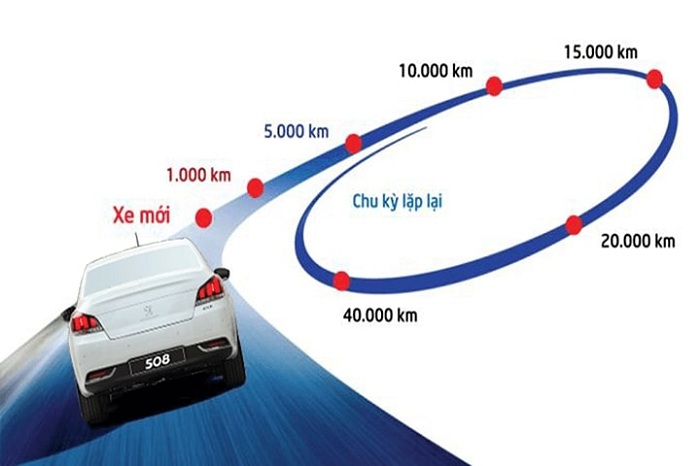Bảo Dưỡng Ô Tô Mất Bao Lâu? Thời Gian Bảo Dưỡng Chi Tiết Từ A–Z